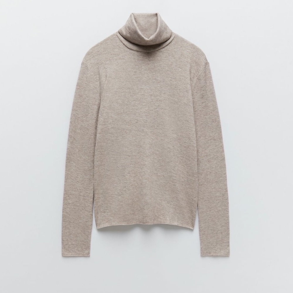 Zara Turtleneck sweater